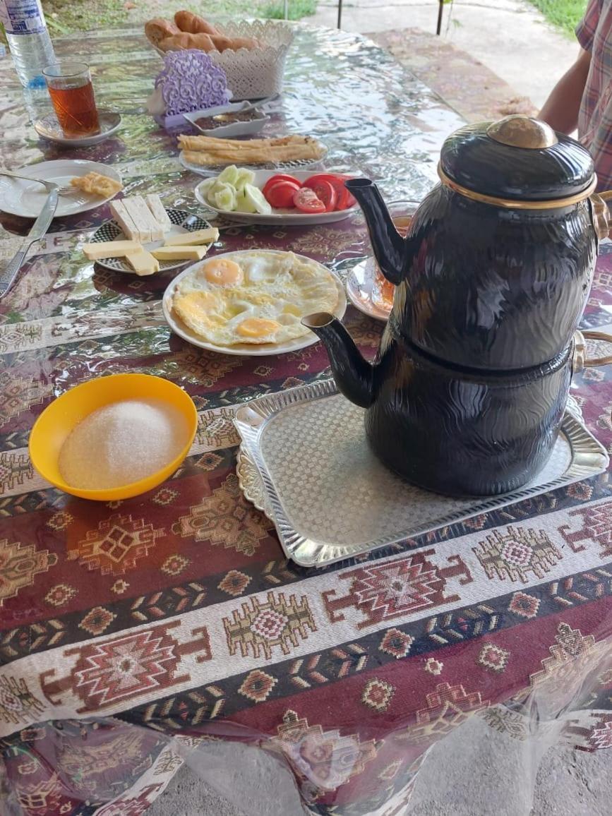 Ilgar'S Hostel Şǝki المظهر الخارجي الصورة