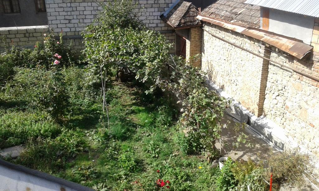 Ilgar'S Hostel Şǝki المظهر الخارجي الصورة