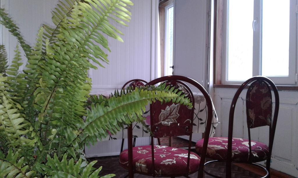 Ilgar'S Hostel Şǝki المظهر الخارجي الصورة